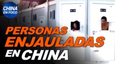 China en Foco: Aparece un video de personas enjauladas en China. ¿Emerge una nueva mutación del virus?