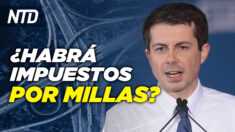 Buttigieg sugiere impuestos por millas; AMLO propone a Biden visas para inmigrantes | NTD