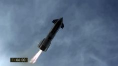El Starship de SpaceX aterriza con éxito, pero vuelve a estallar