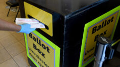 Servicio Postal investiga caso de boletas de votación por correo halladas en acera de Hollywood