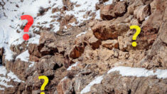 ¿Puede encontrar al leopardo de las nieves camuflado perfectamente en este paisaje montañoso?