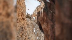 ¿Puede encontrar al leopardo de las nieves camuflado en esta foto de un acantilado?
