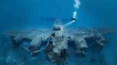 Buzo captura increíbles imágenes de la «Fortaleza Volante» de la II Guerra Mundial debajo del mar