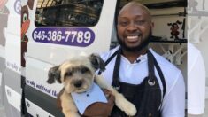 Peluquero de mascotas recorre ciudades de EE.UU. dejando “guapos” a perritos: ¡Y gratis!