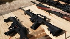 La senadora Feinstein presenta prohibición para 205 «armas de asalto» diferentes