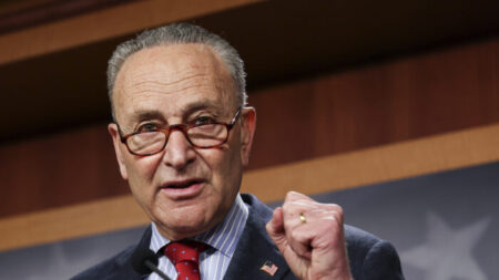 Schumer dice que el Senado votará sobre la verificación de antecedentes y el derecho al voto