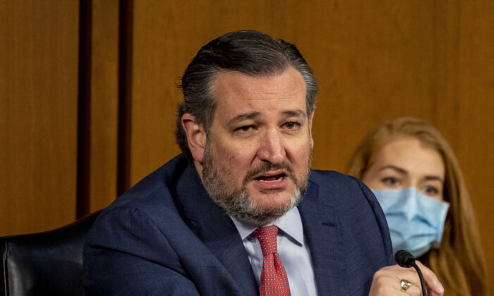 El senador Ted Cruz (R-Texas) habla en una audiencia del Comité Judicial del Senado sobre 'Medidas constitucionales y de sentido común para reducir la violencia armada', el 23 de marzo de 2021. (Tasos Katopodis/Getty Images)