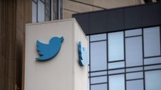 Twitter busca evitar demanda de sobreviviente de tráfico sexual de menores al amparo de la sección 230