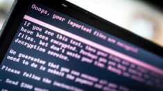 FBI hackea cientos de ordenadores en EE.UU. para retirar software maligno