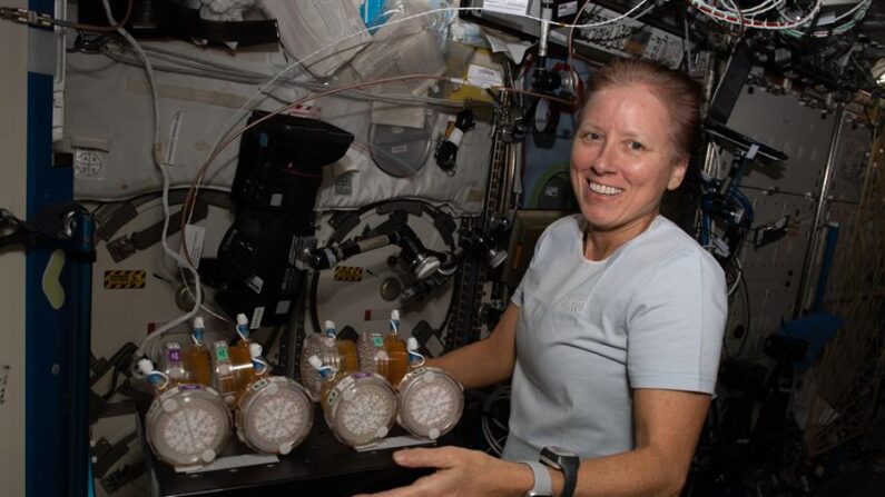 Fotografía cedida por la NASA donde aparece la astronauta estadounidense Shannon Walker, de la tripulación de la llamada SpaceX Crew-1 mientras trabaja en la Estación Espacial Internacional. EFE/ NASA