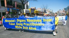 Es hora de declarar ilegal el “turismo de trasplantes”