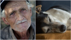 Abuelito que vive en extrema pobreza rescata a perro parapléjico para asistirlo en su humilde hogar
