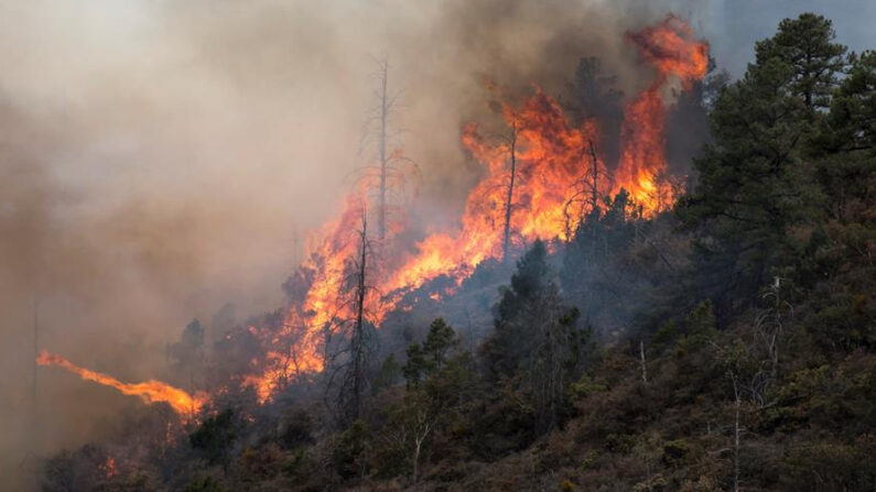 En las últimas horas, el Cuerpo de Bomberos de El Salvador atendió 41 emergencias, en las que el 90 % fueron incendios de todo tipo. EFE/Miguel Sierra/Archivo