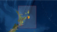 Un seísmo de magnitud 6 sacude el noreste de Nueva Zelanda