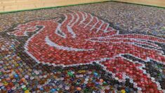 Aficionado al Liverpool crea mosaico con 25,000 tapas de botellas de cerveza en el piso de su casa