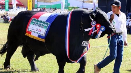 «Bolsonaro», el gran toro paraguayo que se vendió en USD  50,000