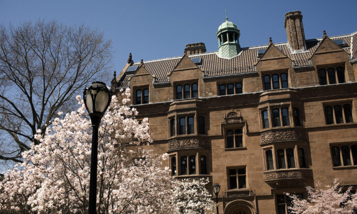 Los árboles florecen en el campus de la Universidad de Yale en New Haven, Connecticut, el 16 de abril de 2008. (Christopher Capozziello/Getty Images)