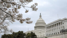 Más republicanos del Congreso votaron en contra del despilfarro en 2020, pero apoyaron las asignaciones