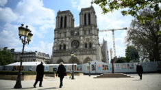 Cierran la plaza de Notre Dame por contaminación de plomo