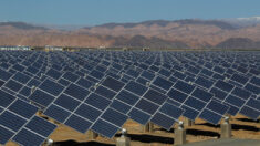 Estudio denuncia supuestos trabajos forzosos en Xinjiang en empresas solares