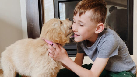 Niño que sufrió la amputación de una pierna adopta a una amiga peluda de 3 patas: «Es como yo»