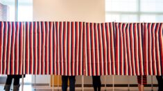 Comienza la auditoría de las elecciones 2020 en Windham, New Hampshire