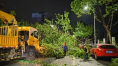 Al menos 11 muertos y 66 heridos por fuertes tormentas en el este de China
