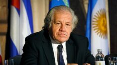 OEA reformará su código ético por el “affaire” de Almagro