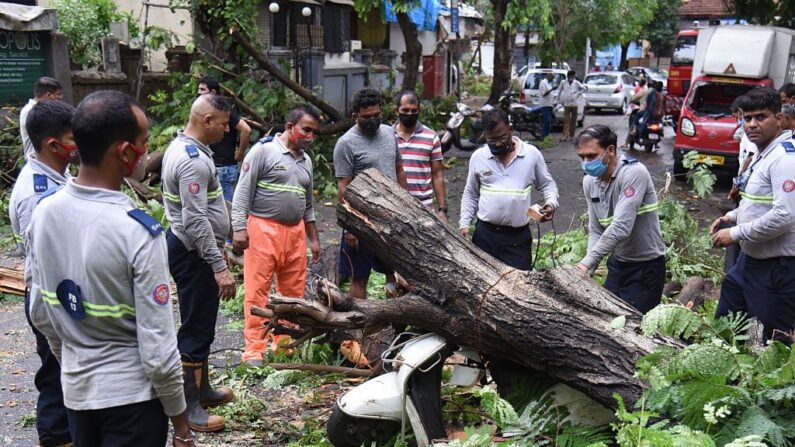 Los bomberos trabajan para despejar un árbol arrancado de una calle en Mumbai el 18 de mayo de 2021, después de que el ciclón Tauktae golpeara la costa occidental de la India con potentes vientos y lluvias torrenciales. (Sujit Jaiswal/AFP vía Getty Images)