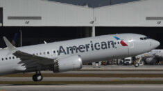 American Airlines investiga a piloto opositor a plan de teoría crítica de la raza de distrito escolar