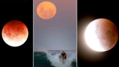 Fotos casi irreales muestran la «superluna de sangre» durante el eclipse total de luna en el Pacífico
