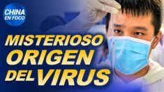 China en Foco: El misterioso origen del virus COVID-19 – Informe especial