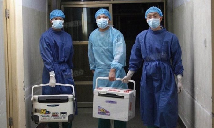 Unos médicos transportan órganos frescos para un trasplante en un hospital de la provincia de Henan, China, el 16 de agosto de 2012. (Captura de pantalla vía Sohu.com)