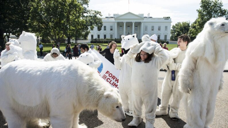Activistas se retiran los disfraces de osos polares en la Avenida Pennsylvania frente a la Casa Blanca tras una protesta en Washington, D.C. el 26 de septiembre de 2013. El oso polar se ha convertido en un símbolo de la preocupación por el calentamiento global. (Brendan Smialowski/AFP/Getty Images)
