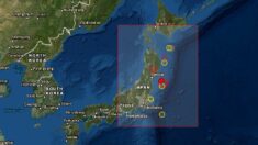 Terremoto de magnitud 6.8 sacude el noreste de Japón sin alerta de tsunami
