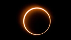 Eclipse solar «anillo de fuego» aparecerá en el cielo el próximo mes: esto es lo que debe saber