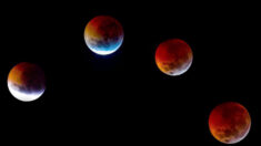«Superluna de sangre» y eclipse lunar completo convergerán el 26 de mayo: esto es lo que debe saber: