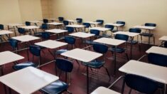 El distrito escolar de Georgia aprueba una resolución para prohibir la teoría crítica de la raza