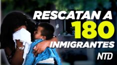 NTD Noticias: Texas: Rescatan a 180 inmigrantes ilegales; DeSantis promulga importante ley