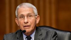 Fauci «no está convencido» de que la COVID-19 surgiera de forma natural y apoya investigar su origen