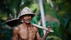 Abuelito colombiano baila de alegría tras vender toda su cosecha gracias a un posteo de redes sociales
