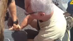 Vídeo muestra cómo unas buenas personas ayudan a oficial que era atacado en alto de tráfico en Florida
