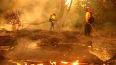 Newsom bajo fuego por reclamos de incendios forestales en California