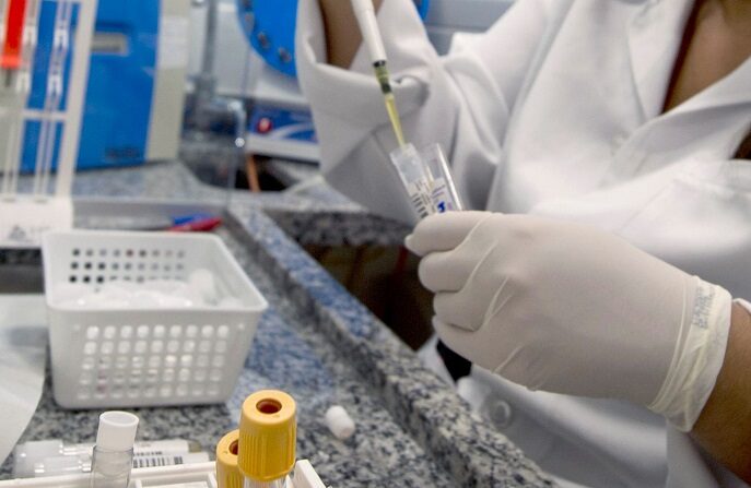 Imagen ilustrativa. Un técnico de laboratorio analiza muestras de sangre (VANDERLEI ALMEIDA/AFP via Getty Images)