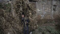 Nuevo estudio desmiente «milagro» de Xi Jinping: La pobreza extrema existe en China