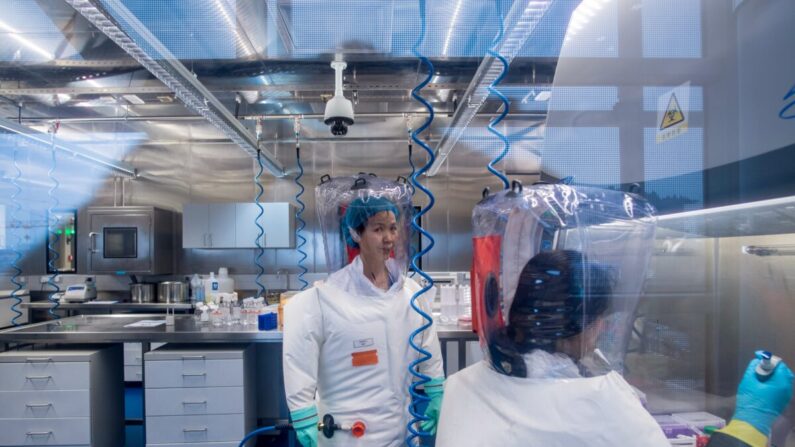 La viróloga china Shi Zhengli (i) en el laboratorio P4 de Wuhan, capital de la provincia china de Hubei, el 23 de febrero de 2017. (Johannes Eisele/AFP vía Getty Images)