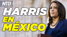 Kamala Harris se reúne con AMLO en México; Senador Ted Cruz: facebook podría ir a la Corte