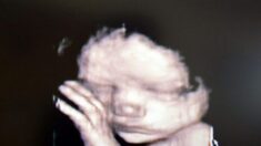 Ciudad de Texas prohíbe el aborto y aprueba ordenanza de «Santuario para los no nacidos»