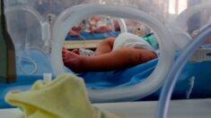 Queda en duda veracidad del nacimiento de 10 bebés en Sudáfrica que habría roto récord mundial