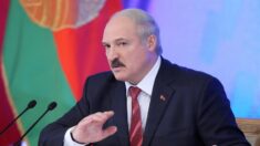 Régimen bielorruso liquida más de 40 ONG y promete seguir con persecución